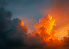 Bienvenue sur PushIA : votre nouvelle source d’actus, outils et astuces sur l’intelligence artificielle